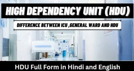 HDU Full Form in Hindi and English HDU Full Form