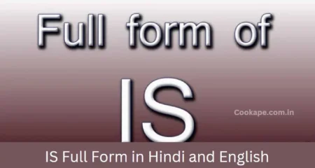 IS Full Form