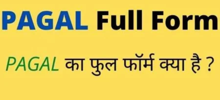PAGAL Ka Full Form in Hindi and English PAGAL Ka Full Form