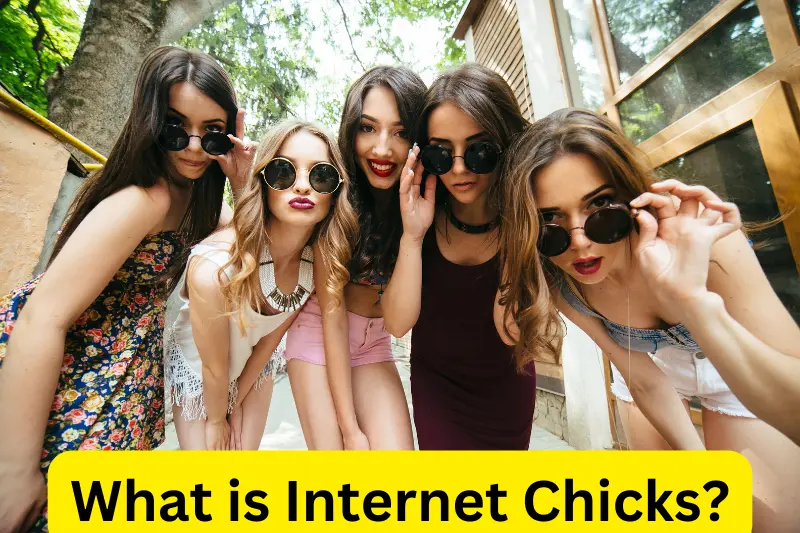 What is Internet Chicks