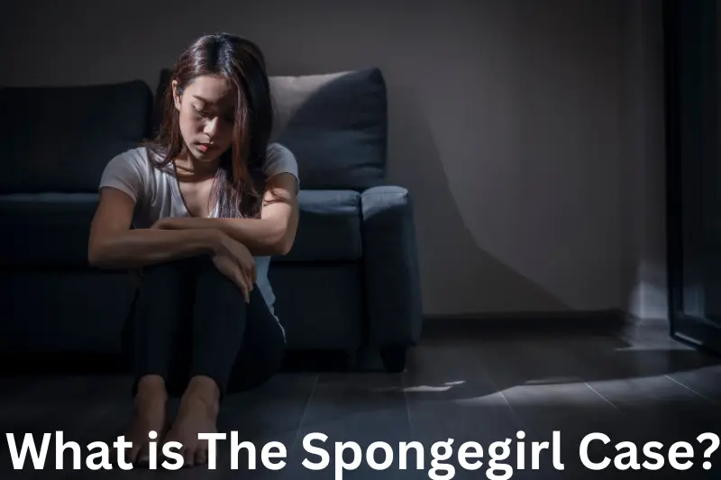 What is The Spongegirl Case?