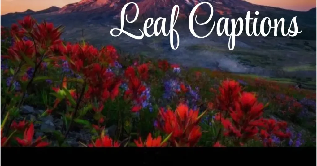 leaf captions