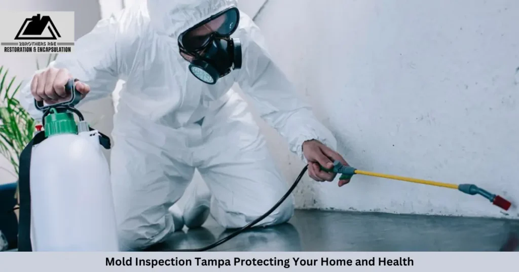 Mold Inspection Tampa Protecting Your Home and Health